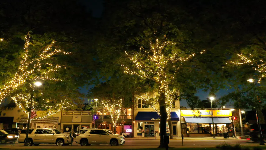 A row of lit storefronts at night behind large street trees wrapped in warm white lights, with cars parked along the curb.
