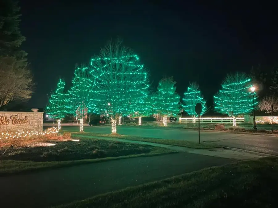A neighborhood entrance at night with a row of trees wrapped in green lights, white wrapped trunks, a stone entry sign trimmed in warm white and white lights along a fence.