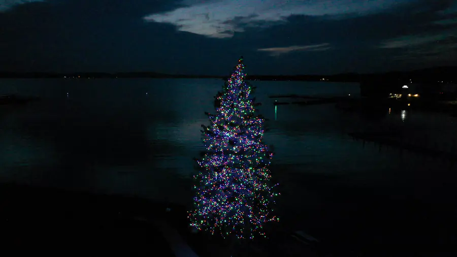 A tall evergreen covered in multicolor lights standing on a lakeshore at night, with dark water, a far shoreline and a cloudy sky behind.