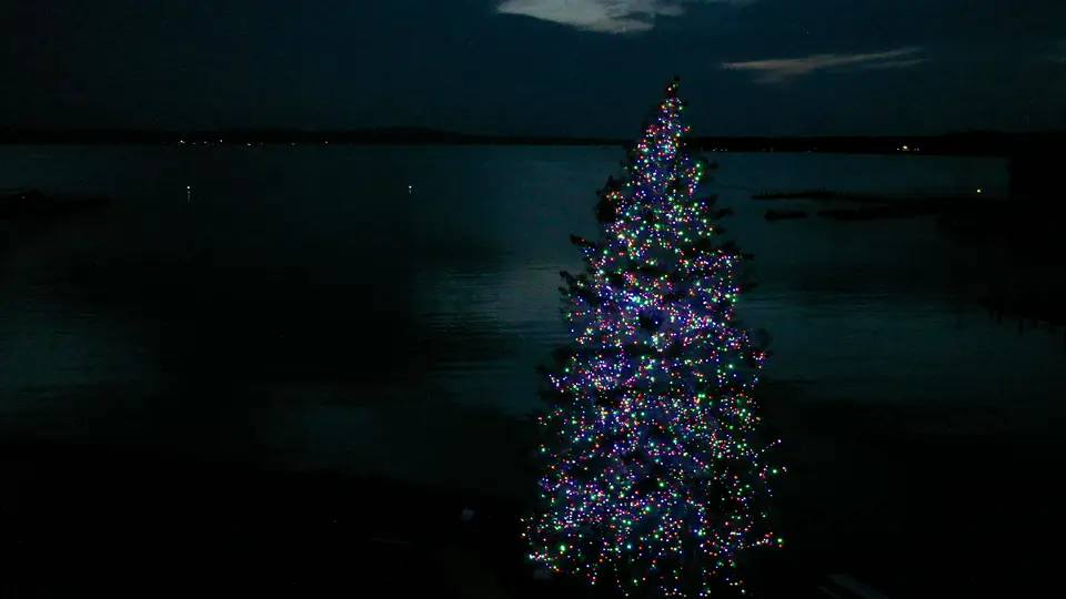 A slow aerial drift in front of a tall evergreen covered in multicolor lights on a lakeshore at night.