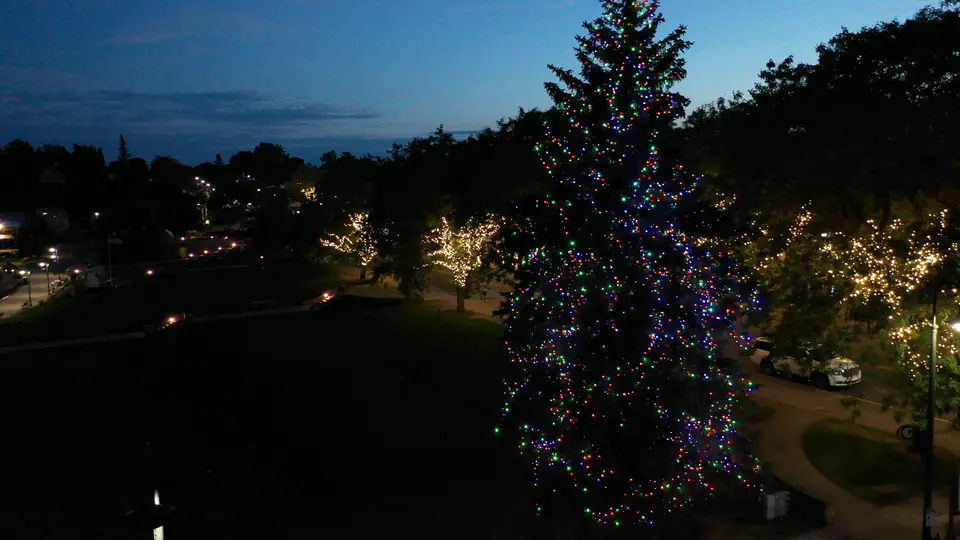 A slow aerial orbit around a tall multicolor tree in a park at blue hour, with warm white wrapped trees behind it.